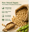 Organic Soyabean | 100% Natural & Chemical-Free | Premium Quality
