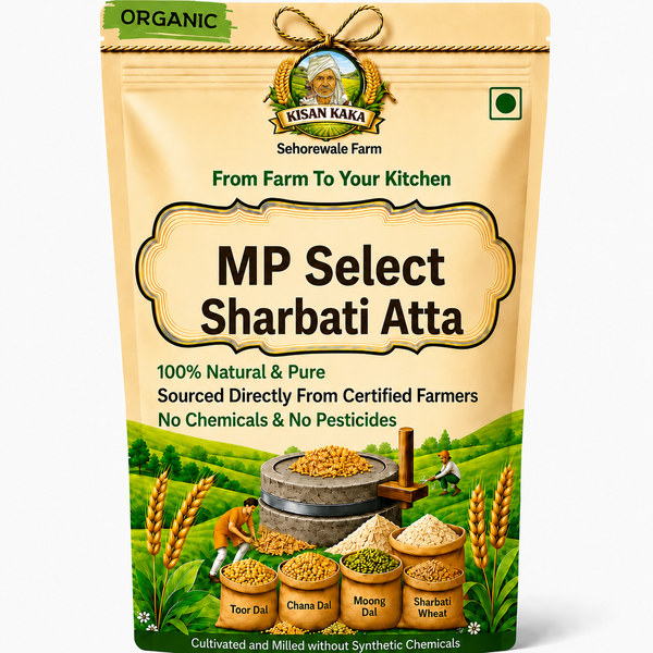 Organic MP Select Sharbati Wheat (Grains and Atta)