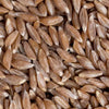 Khapli Atta Emmer Wheat MH Premium Whole Wheat Flour