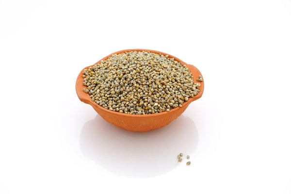 Bajra - Pearl Millet