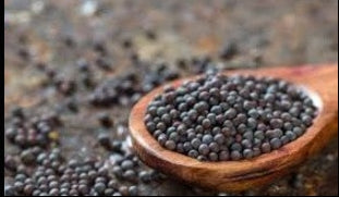 Premium Sarso (Mustard)Seeds